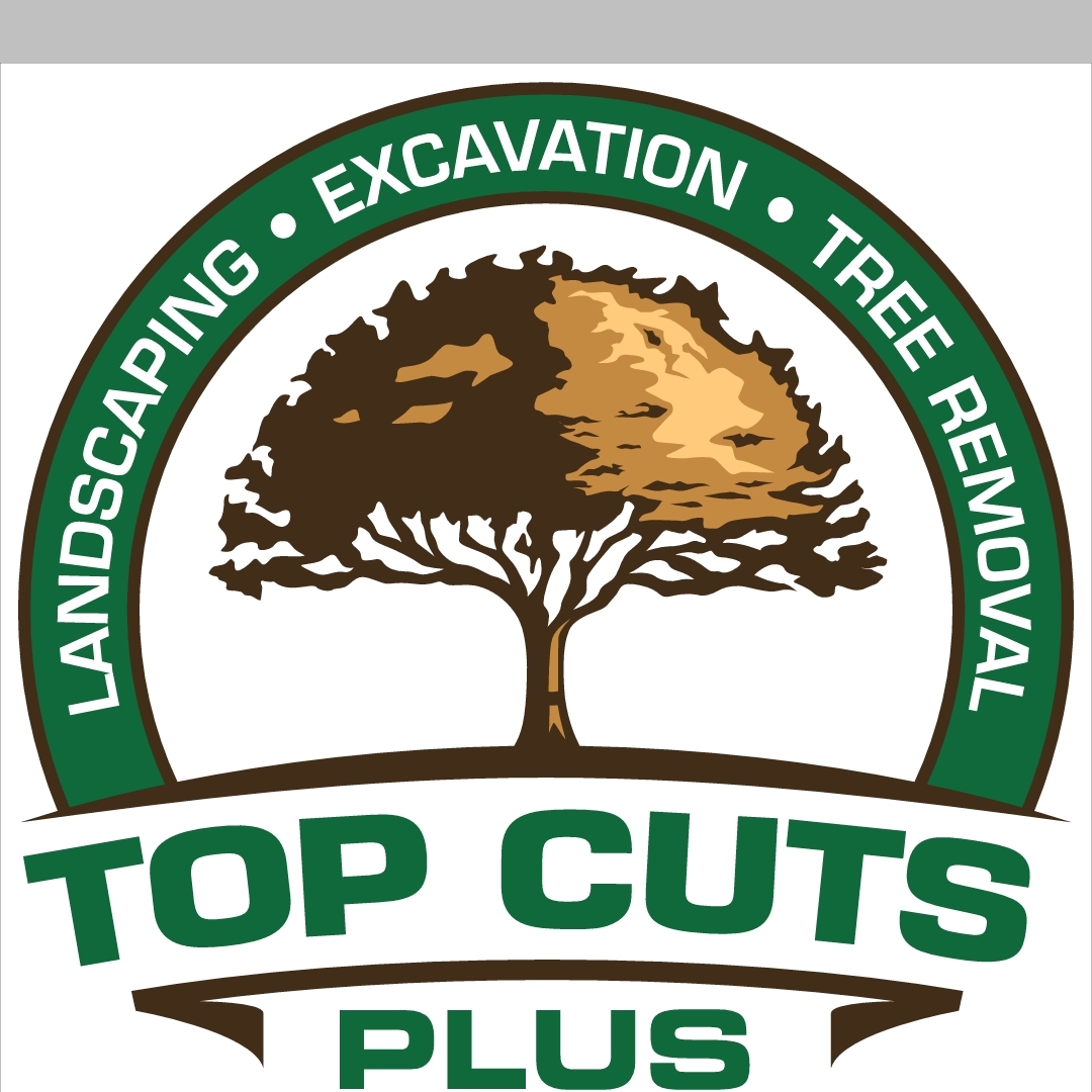 Top Cuts Plus logo