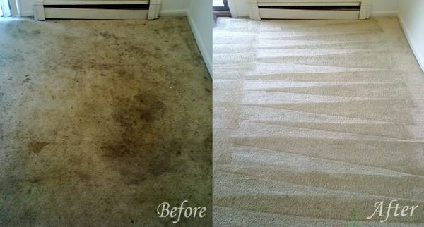 Avatar for Number One Carpet & Upholstery Cleaning