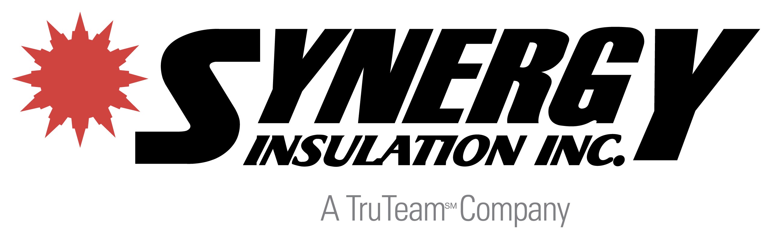Logo for Synergy Insulation