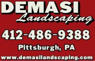 DeMASI LANDSCAPING LLC. logo