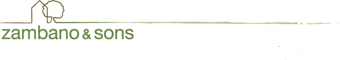 Logo for Zambano & Sons LLC