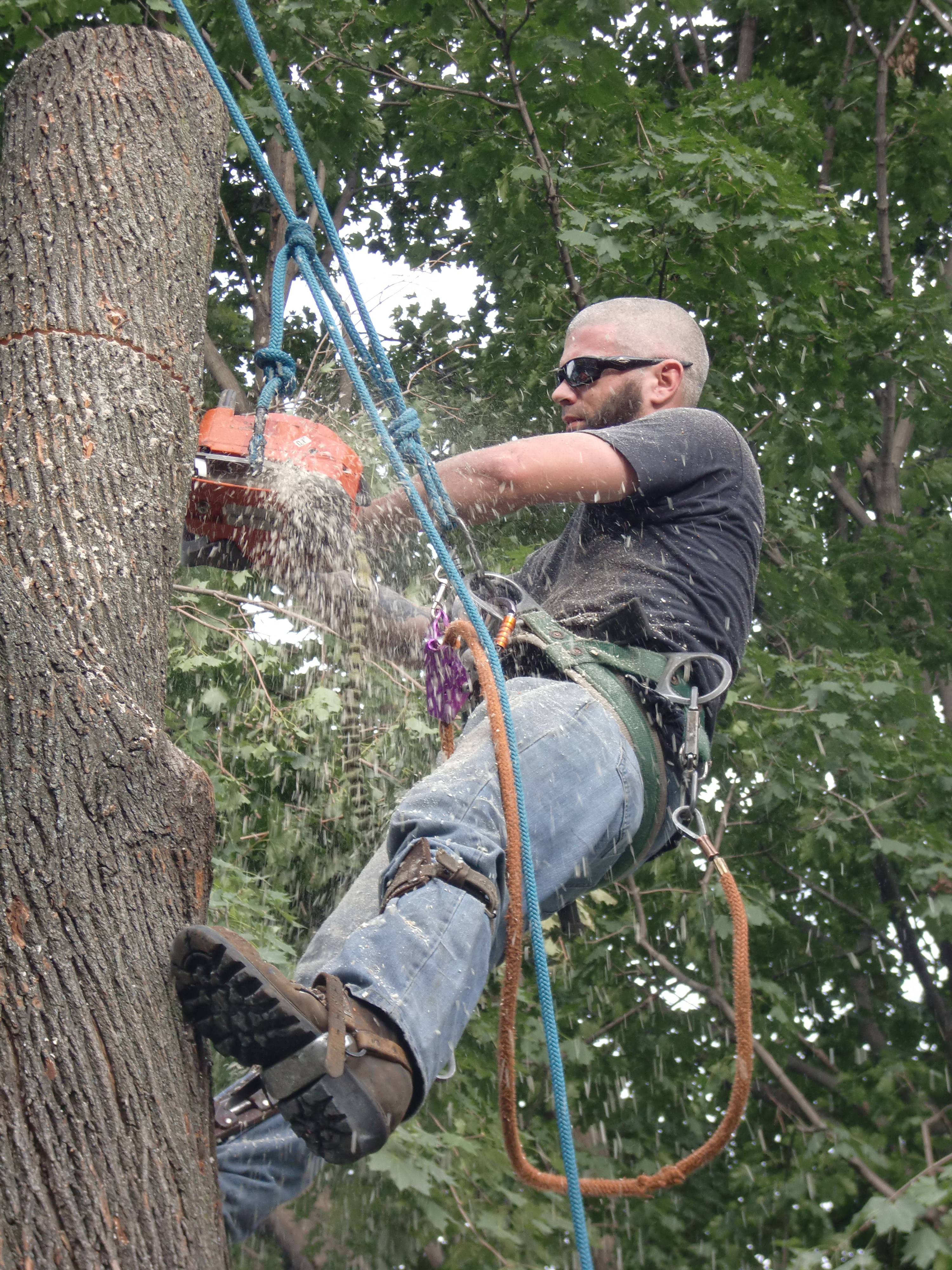 Fowler's Tree And Landscaping logo