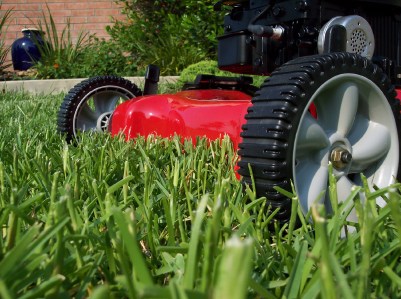 Raymond Landscaping logo