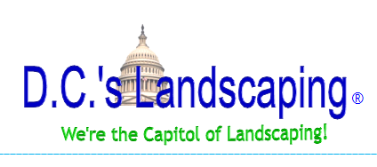 Avatar for DC's Landscaping