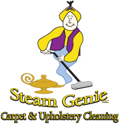 Avatar for Steam Genie Carpet Cleaning