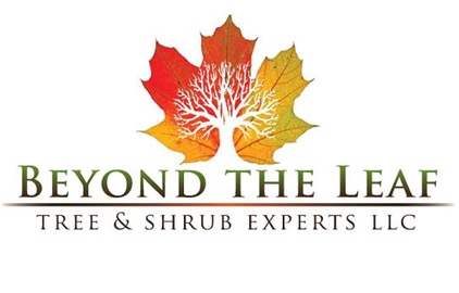 Beyond The Leaf Tree and Shrub Experts LLC logo