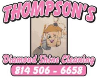 Avatar for Thompson’s Diamond shine cleaning