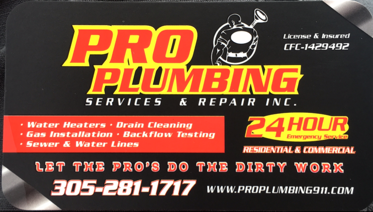 Avatar for Pro Plumbing Service & Repair Inc