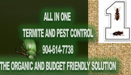 All in One Termite and Pest Control logo