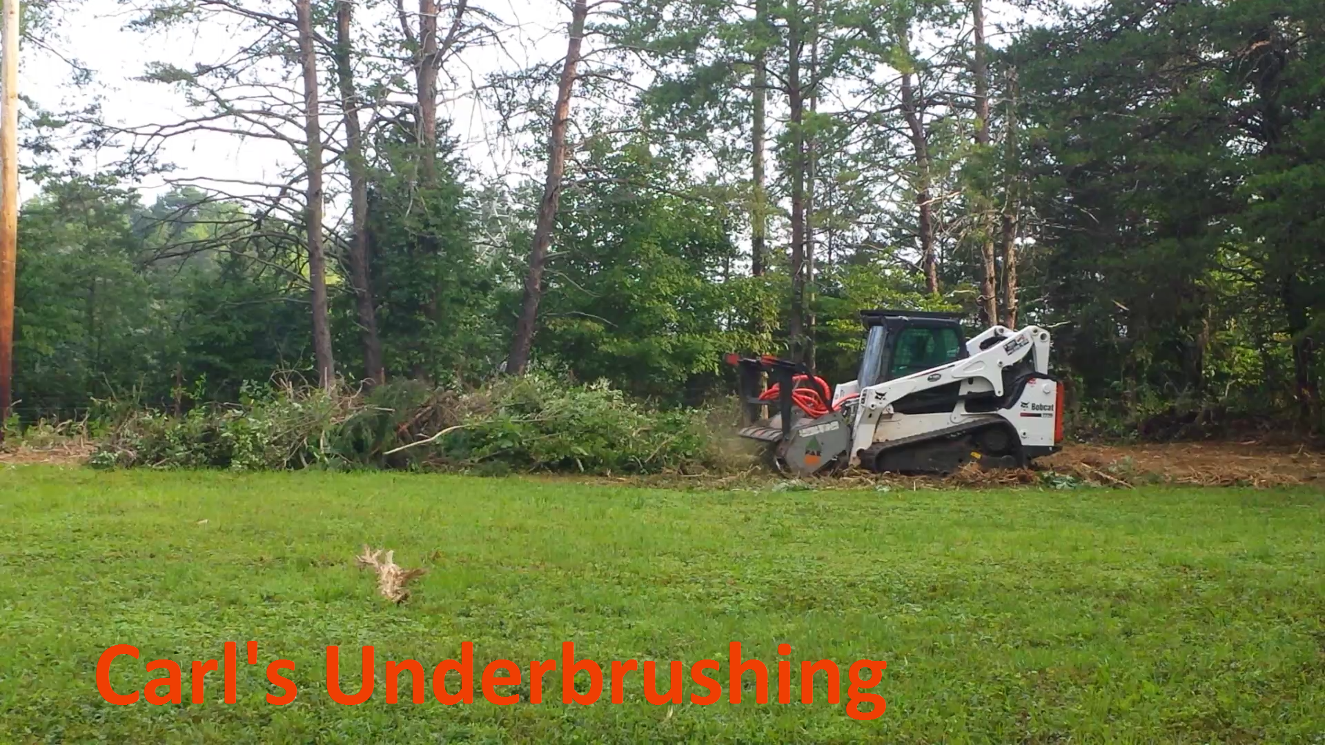 Avatar for Carl's Underbrushing