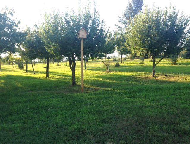 Great Escape Farms logo