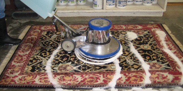 Steam Green Carpet & Sofa Cleaners logo