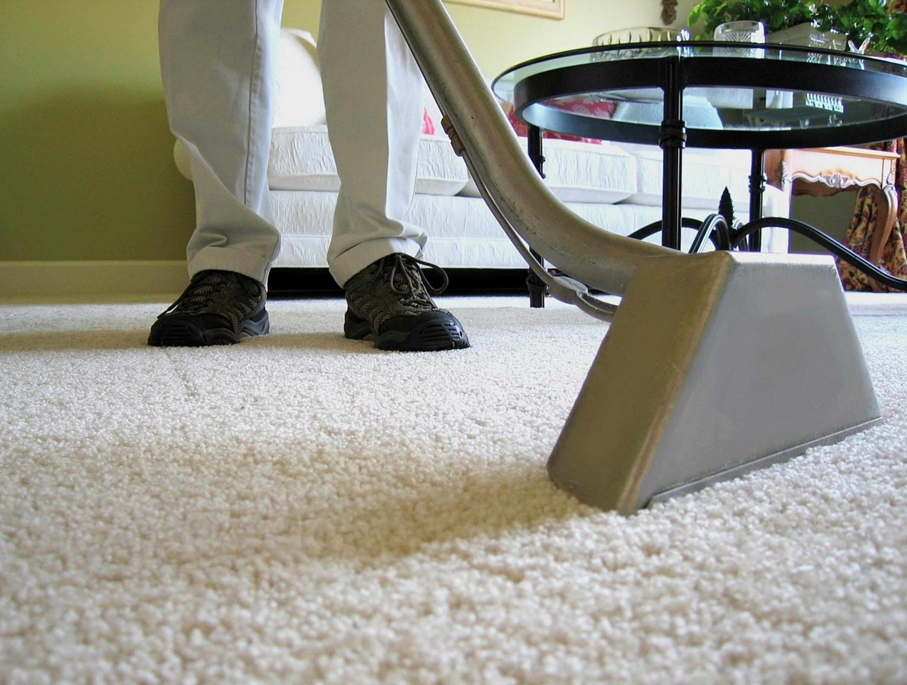 Avatar for Steam Green Carpet Cleaners