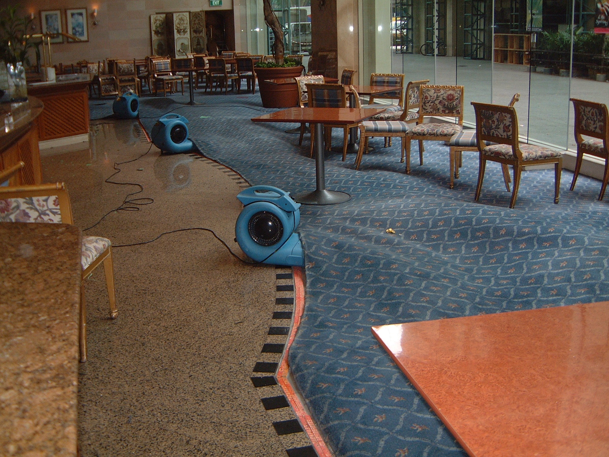 Avatar for Pacific Clean Up and Restoration Company