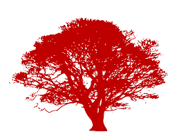 Avatar for Cherokee Tree and Landscape