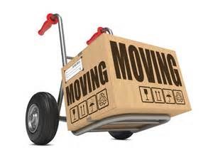 Yaacovzon Moving Team logo