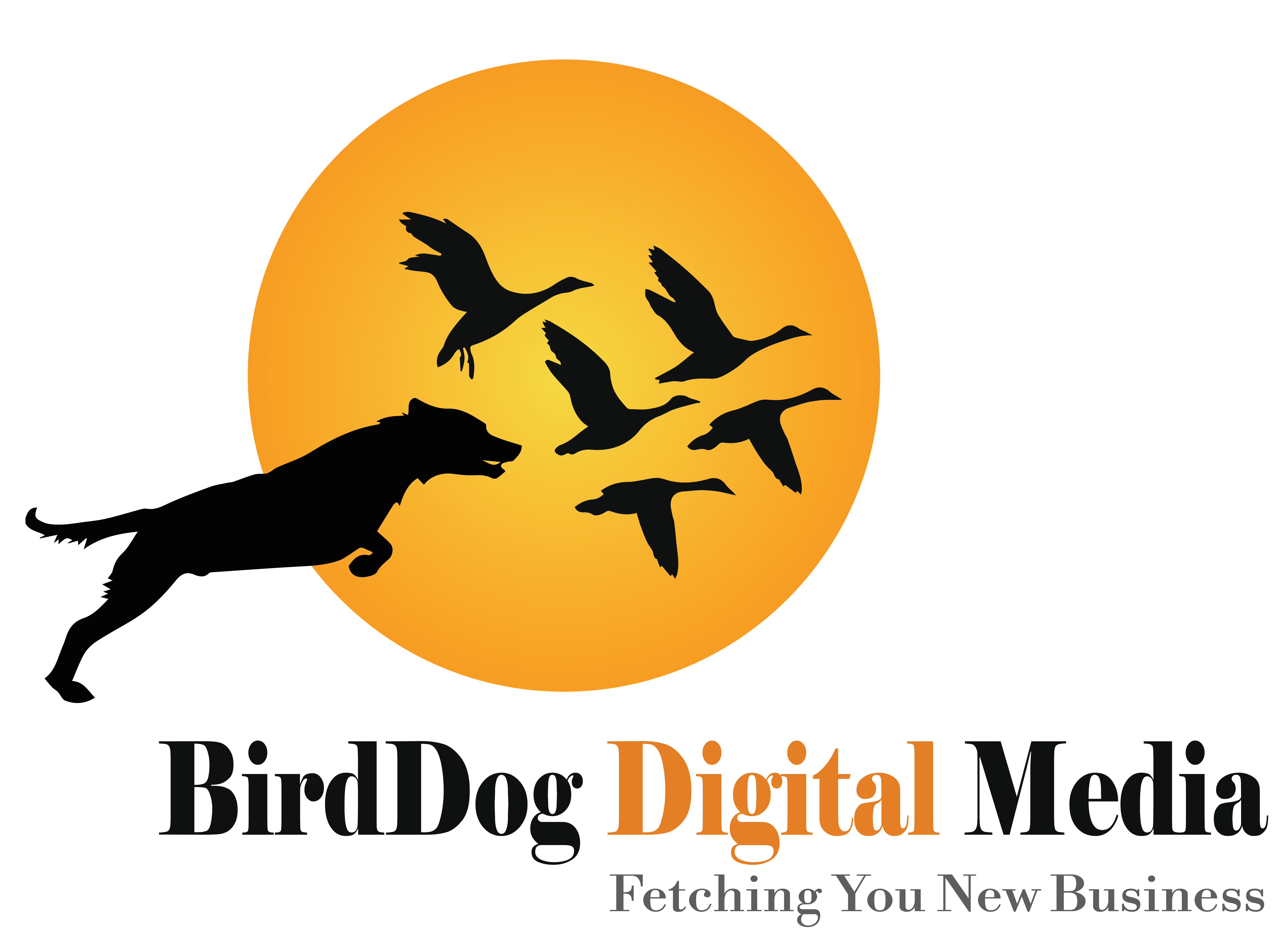 BirdDog Digital Media logo