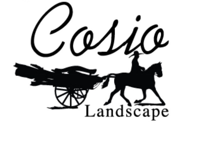Cosio Landscape logo