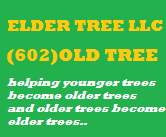 Avatar for Elder Tree LLC