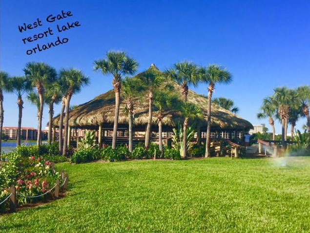 Native American Palm Huts Inc logo
