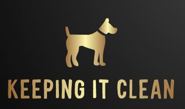Keeping It Clean logo