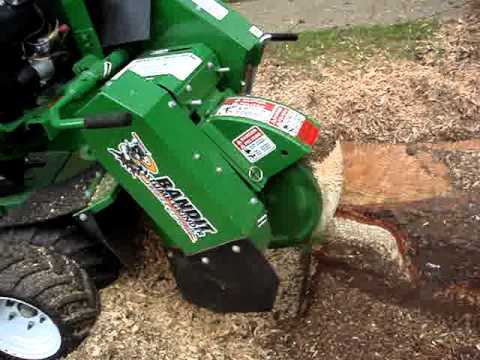 AGS Stump Removal logo