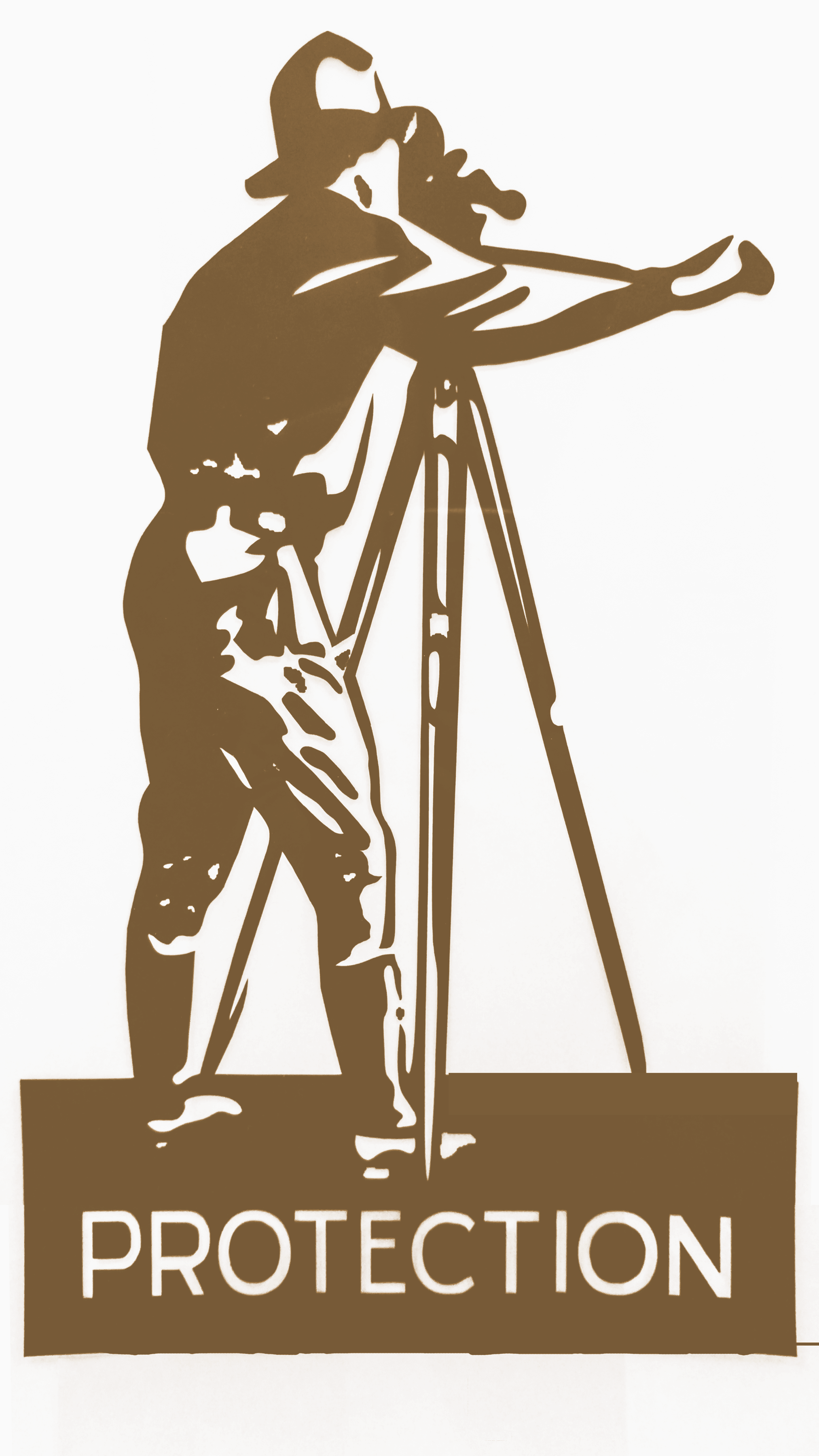 National Survey Service, Inc logo