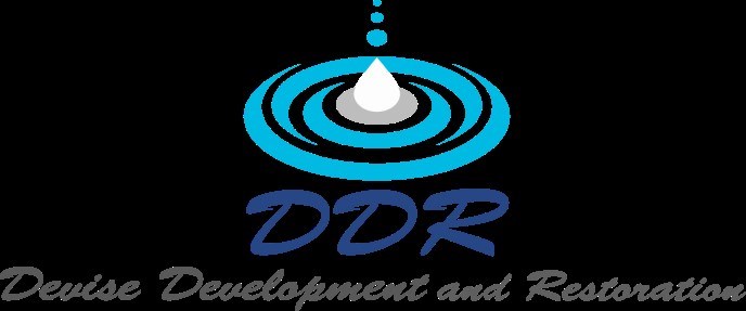 Devise Development and Restoration, LLC logo