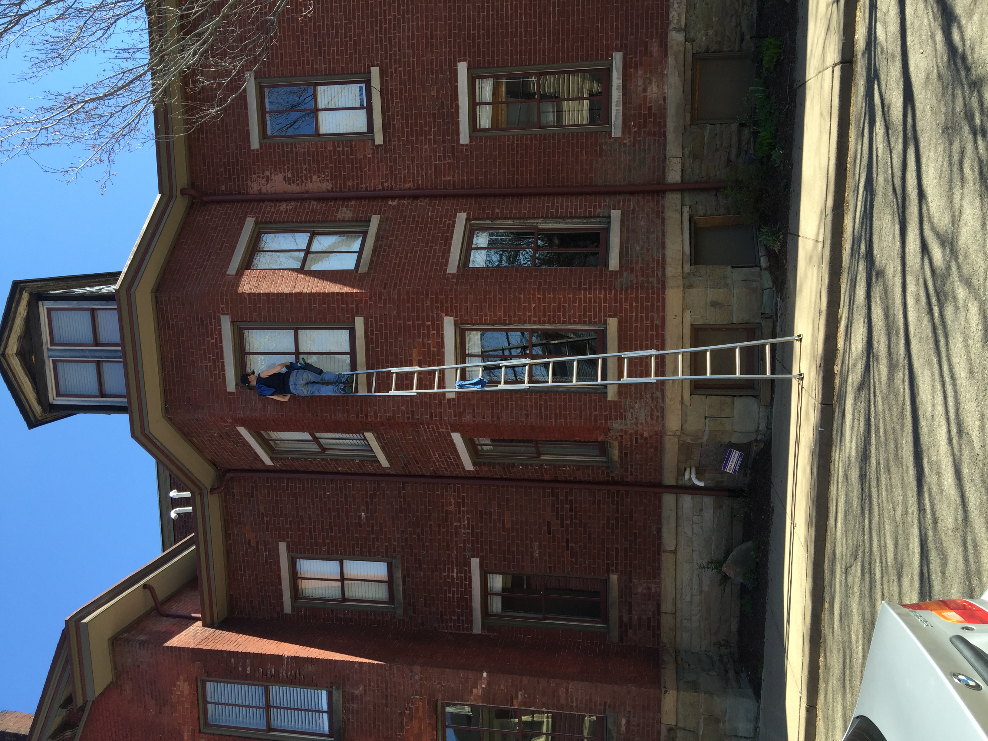 Amy's Window and Gutter Cleaning logo
