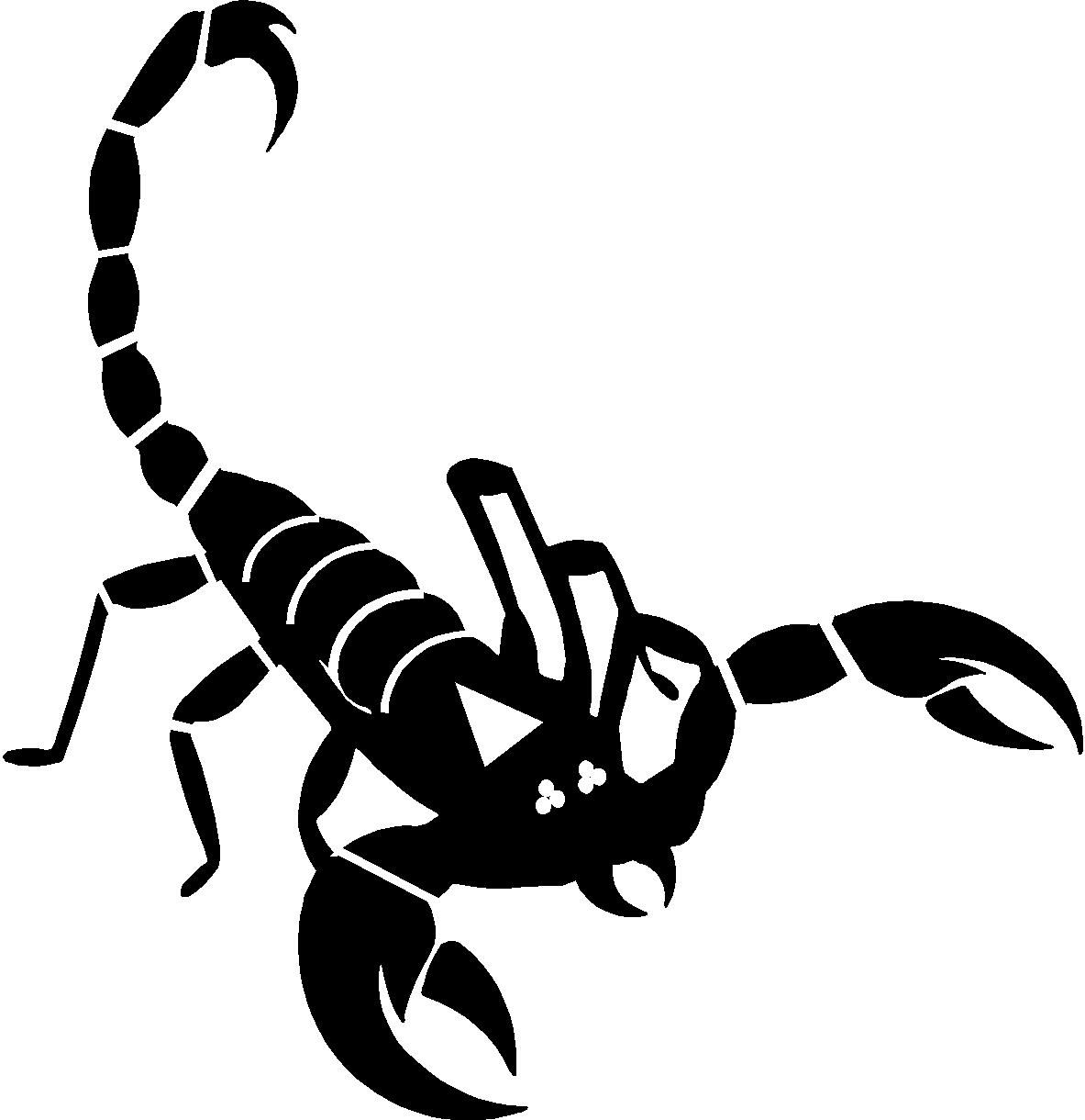 Scorpion Pest & Termite Control logo