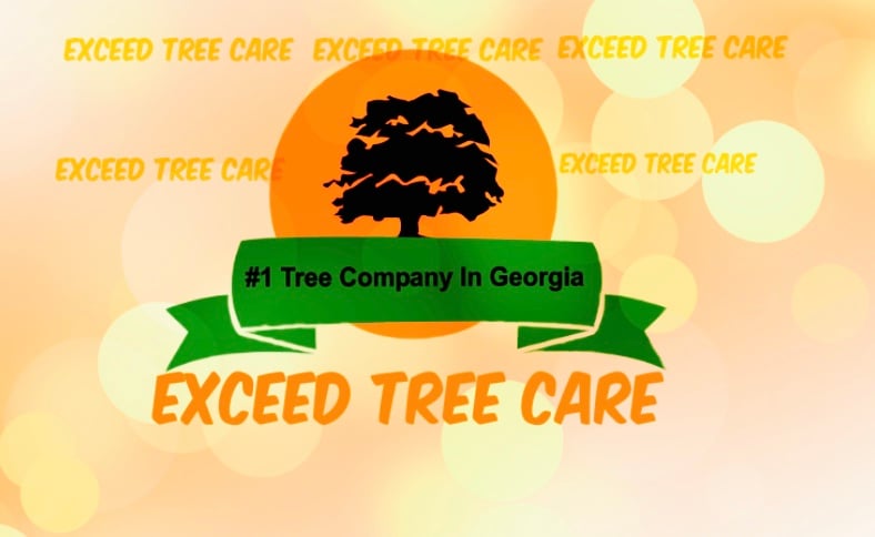 Avatar for Exceed Tree Care