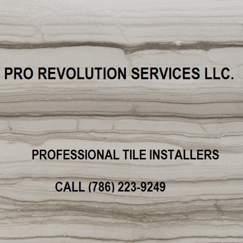 Pro Revolution Services LLC. logo
