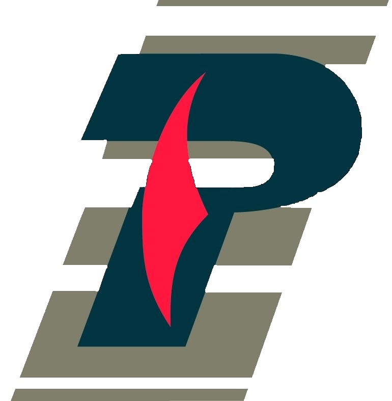 Pinnacle Motor Works logo