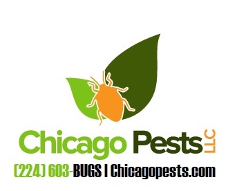 Chicago Pests logo