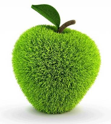 Apple Green Lawn Care logo