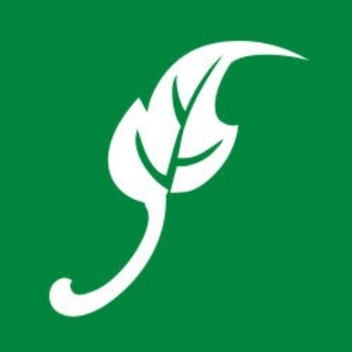 LeafFilter Gutter Protection logo