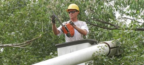 Pyramid Pool And Tree Experts, Inc logo