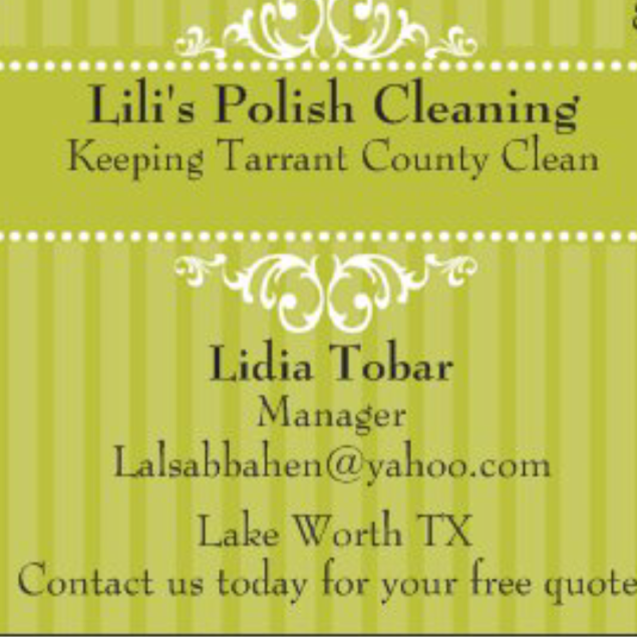 Lilis polish cleaning logo