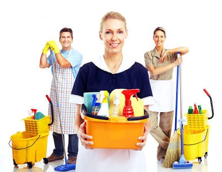 elaine and marcia cleaning services logo