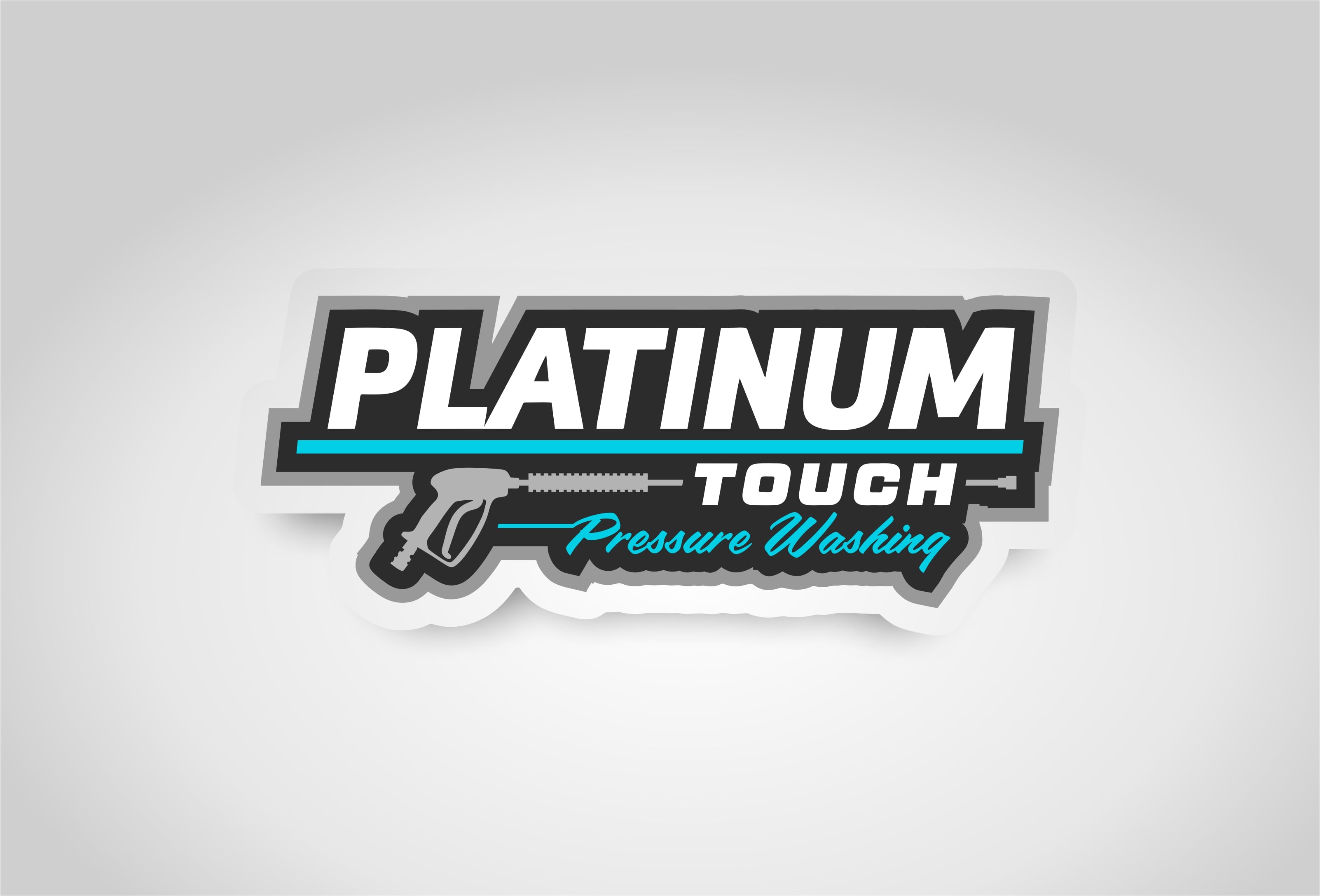 Avatar for Platinum Touch Pressure Washing LLC