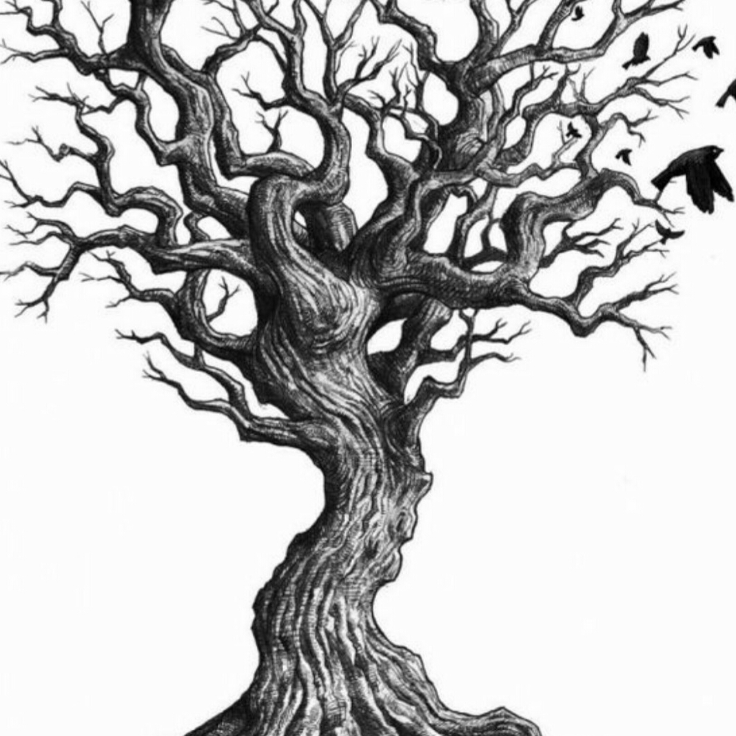 Avatar for Arkatex Tree