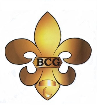 Avatar for BCG Management