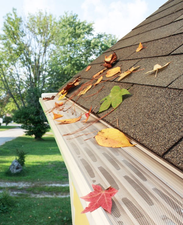 KC Royal Guard LLC logo