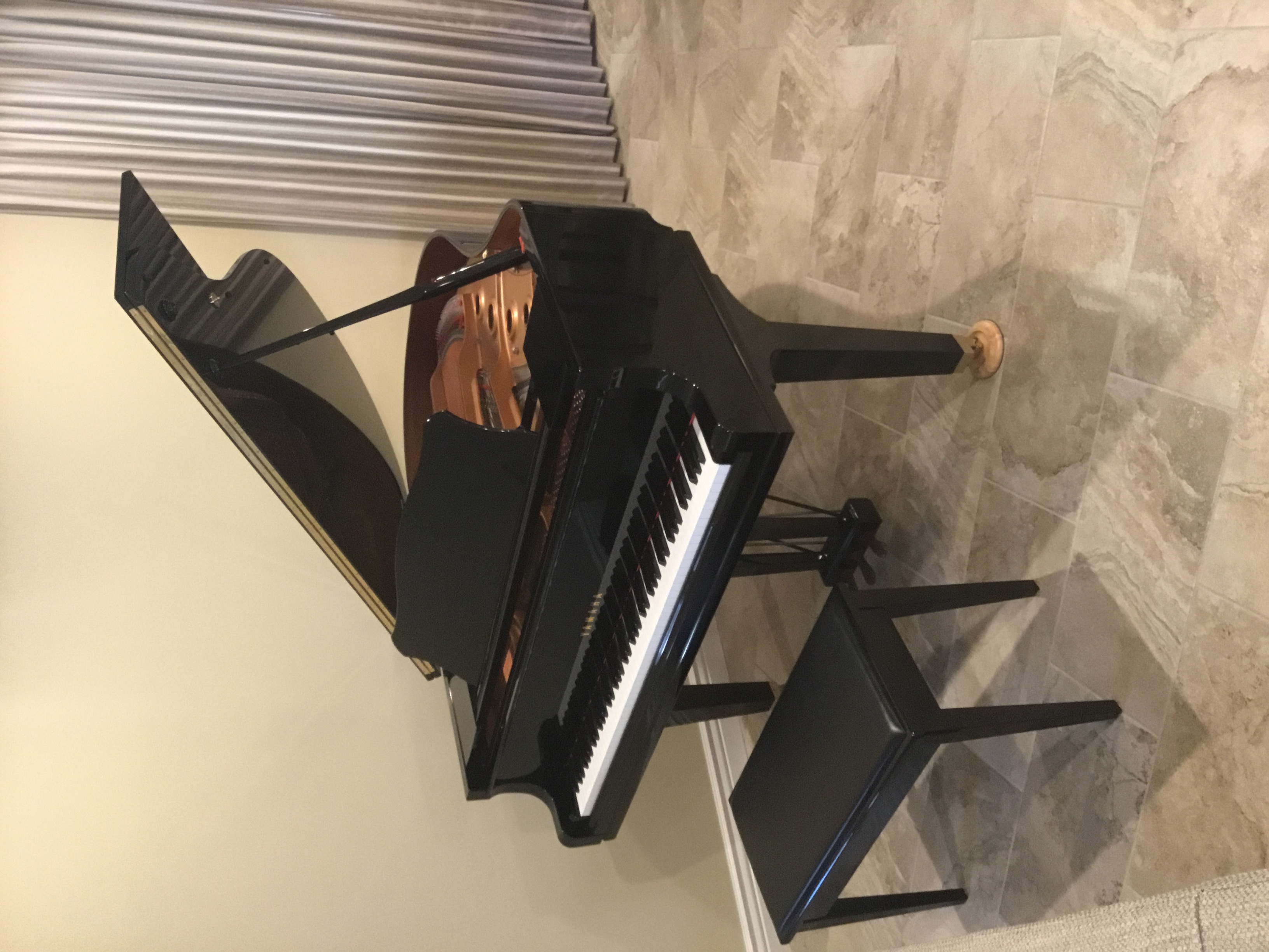 Professional Piano Services logo