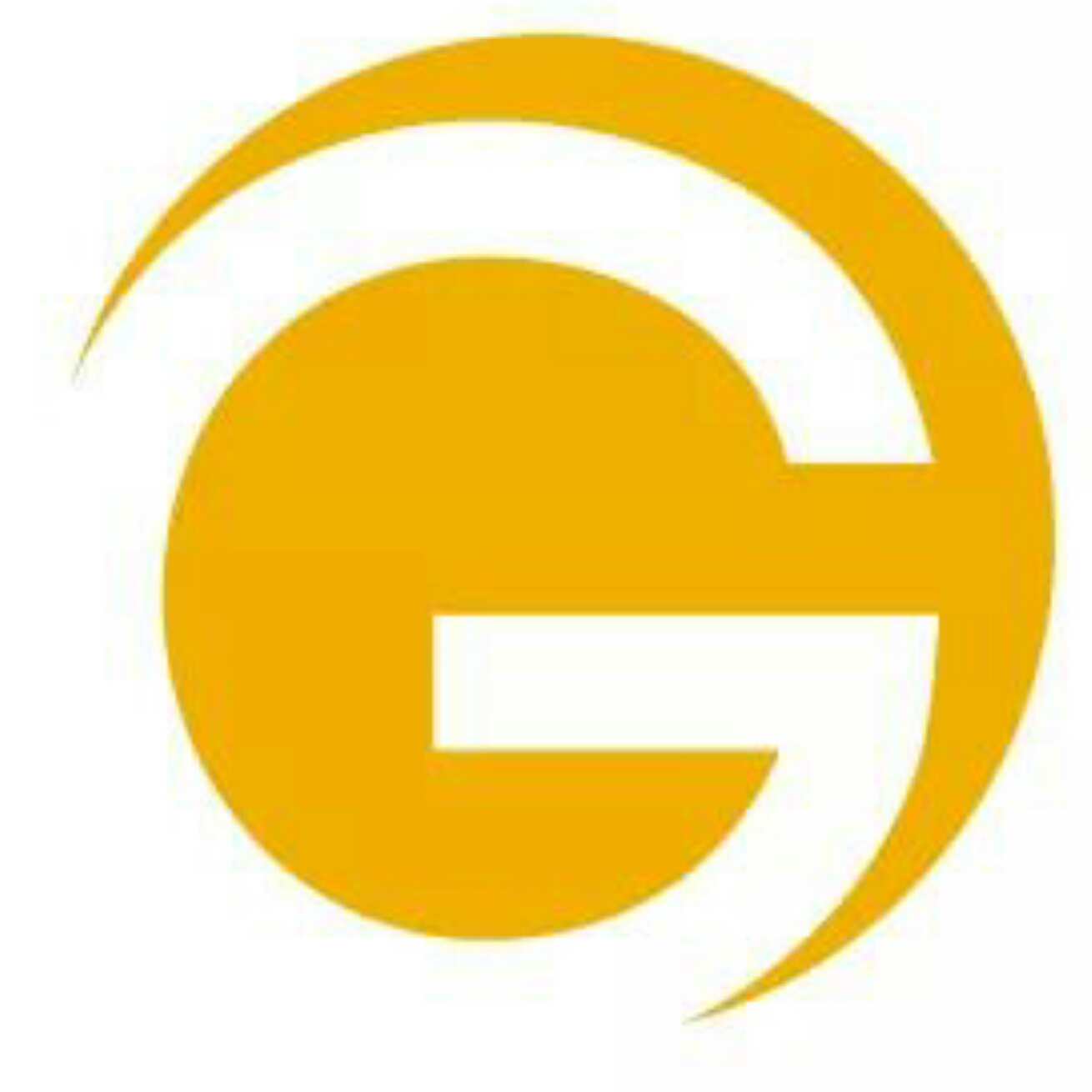 Geekz Computer Service logo