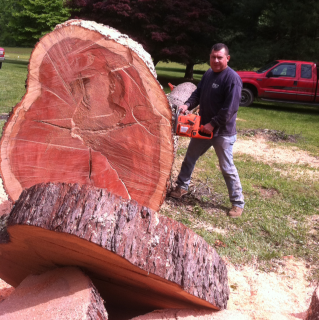 Avatar for Smart Saw Tree Svc