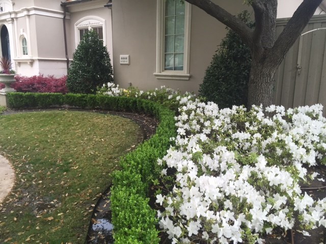 Avatar for Ortiz Landscaping