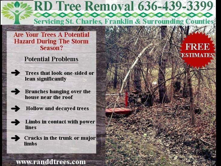 R&E Tree Service logo