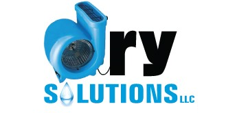Dry Solutions LLC logo