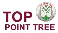Logo for Top Point Tree